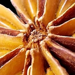 Find your Voice - Find the Best Gyms Near You | Fitizio